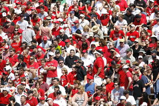 爱游戏体育app-体育赛事观众满意度影响因素研究,体育赛事关注度