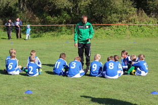 爱游戏体育-五大联赛是否提升边路轮换参与战术决策比重，五大联赛可以换5人