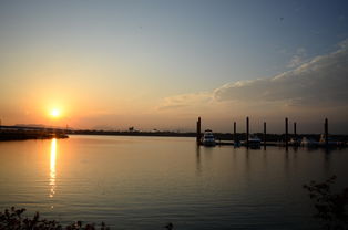 爱游戏app下载-千帆竞发，轻艇马拉松点亮湖滨赛场，赛艇马拉松多少公里